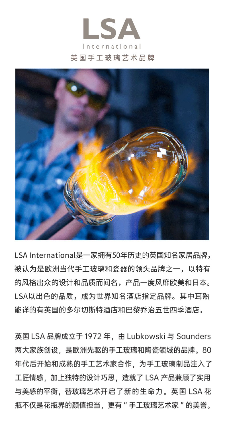 LSA.jpg